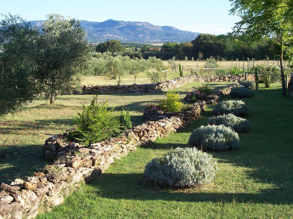 Agriturismo Il Grillo Parlante Pitigliano Exteriör bild