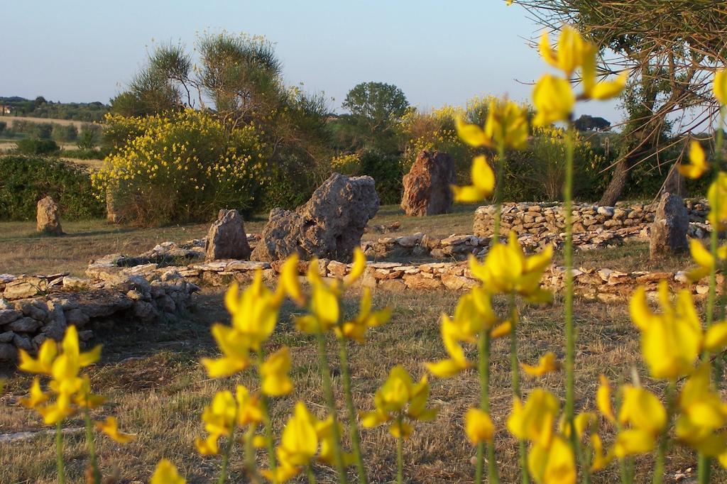 Agriturismo Il Grillo Parlante Pitigliano Exteriör bild