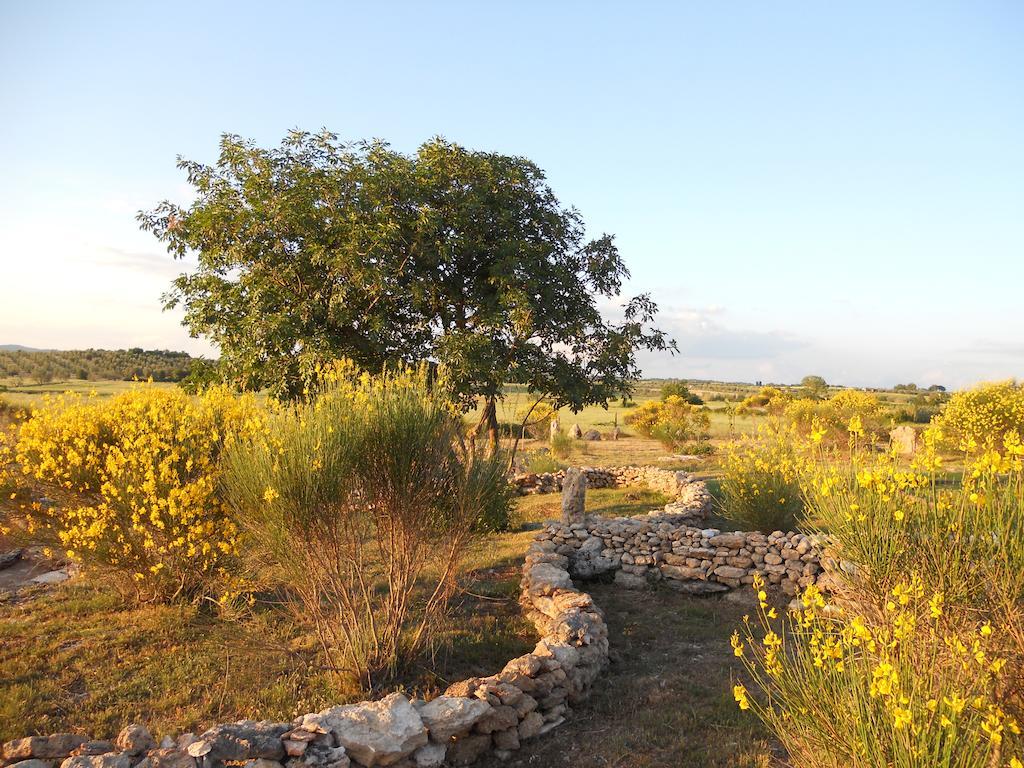 Agriturismo Il Grillo Parlante Pitigliano Exteriör bild