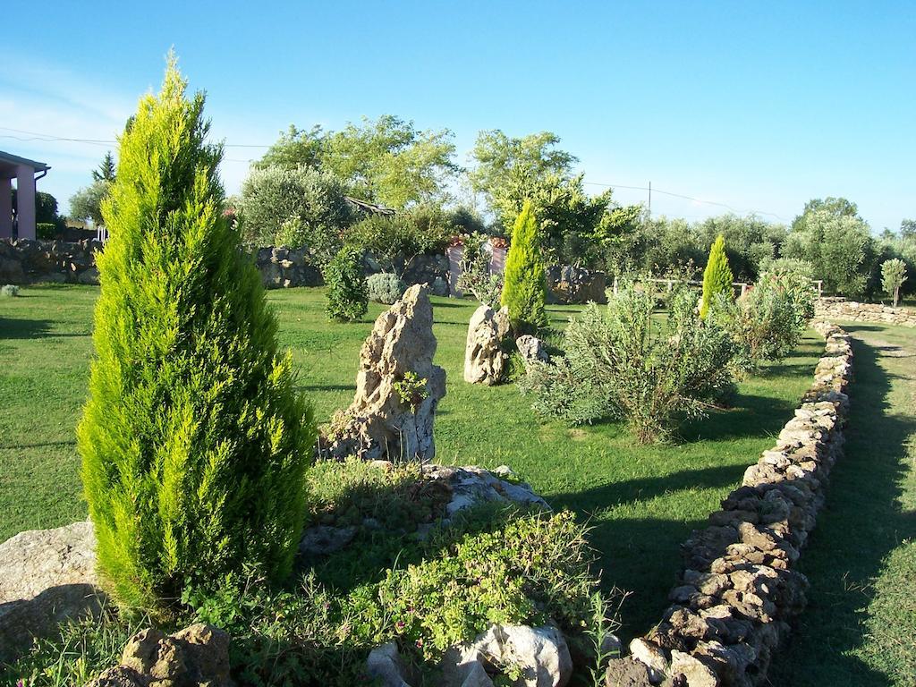Agriturismo Il Grillo Parlante Pitigliano Exteriör bild